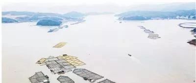 棒！人民日報頭版點贊福鼎環保漁排生態養殖