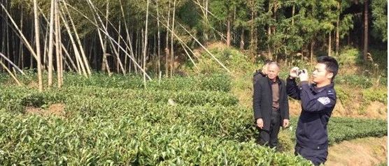 舉報最高獎勵30萬！福鼎公安邀你共同禁種鏟毒！