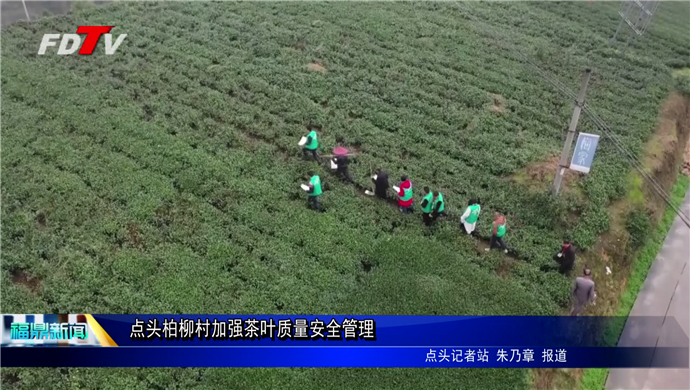 點頭柏柳村加強茶葉質量安全管理