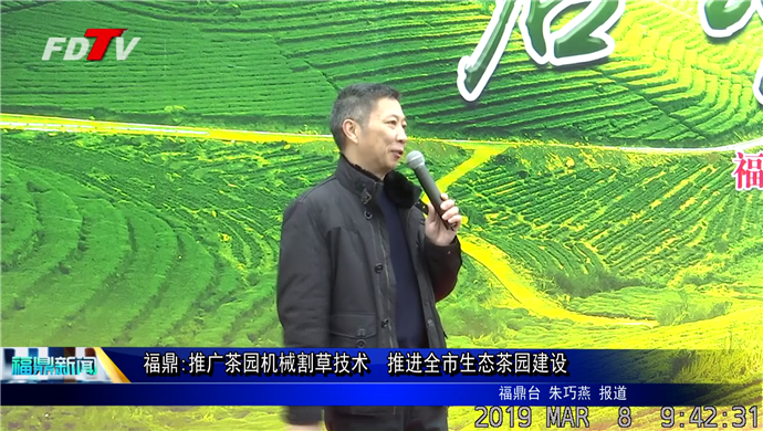 福鼎:推廣茶園機械割草技術 推進全市生態茶園建設