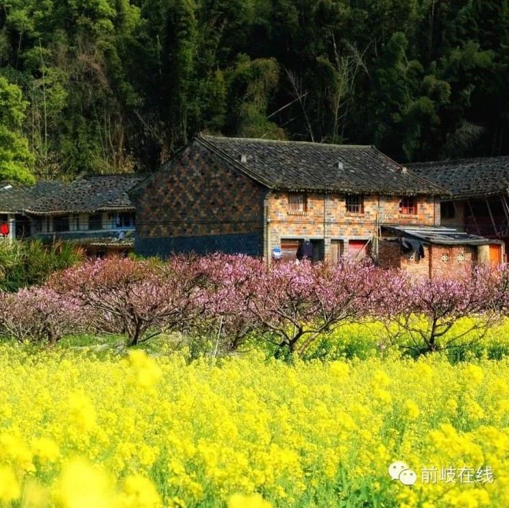 春暖花開，踏青出游？去照瀾吧！有驚喜……