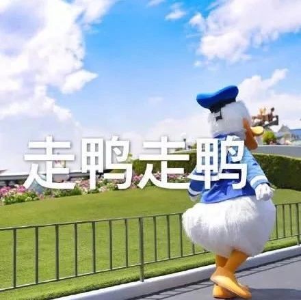 3月23日，福鼎白茶開茶節現場咋停車？看這里?。?！
