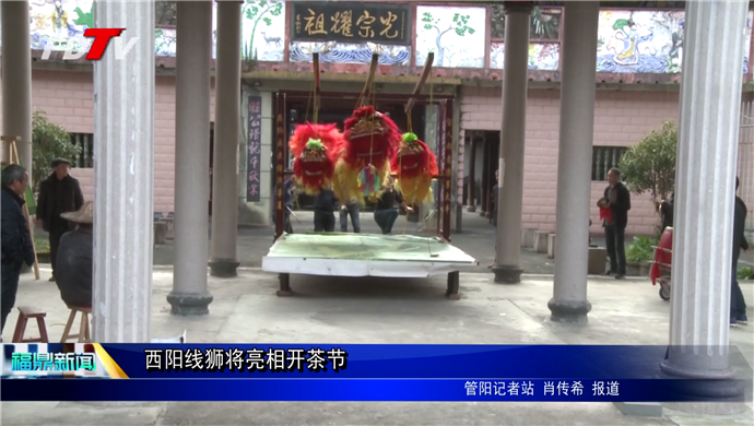 西陽線獅將亮相開茶節