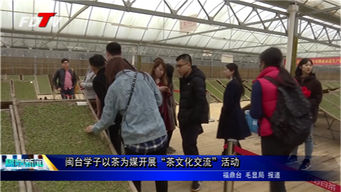閩臺學子以茶為媒開展“茶文化交流”活動