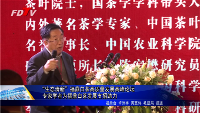 “生態清新”福鼎白茶高質量發展高峰論壇   專家學者為福鼎白茶發展支招助力