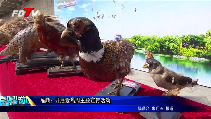 福鼎：開展愛鳥周主題宣傳活動