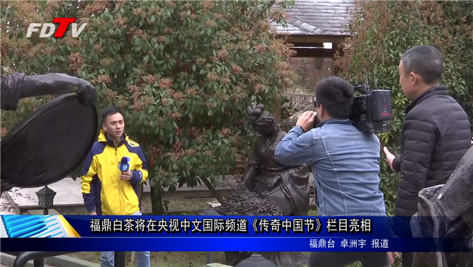 福鼎白茶將在央視中文國際頻道《傳奇中國節》欄目亮相