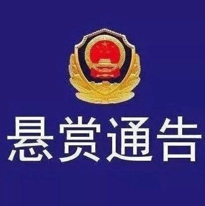 如有這16名涉黑涉惡在逃嫌疑人的線索，請立即報警！
