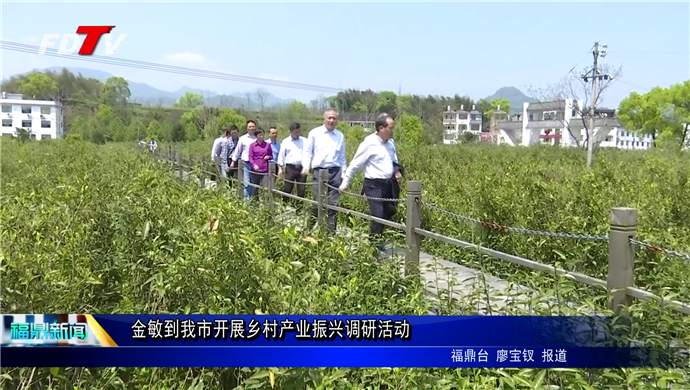 金敏到我市開展鄉村產業振興調研活動
