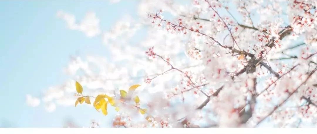 生活要有儀式感，聽說野餐和春天更配哦~