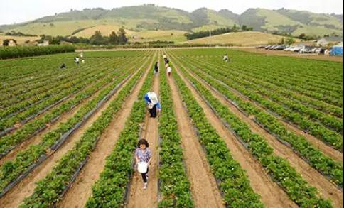 寧德擬推薦這些農場為省級家庭農場示范場，有你家鄉嗎？