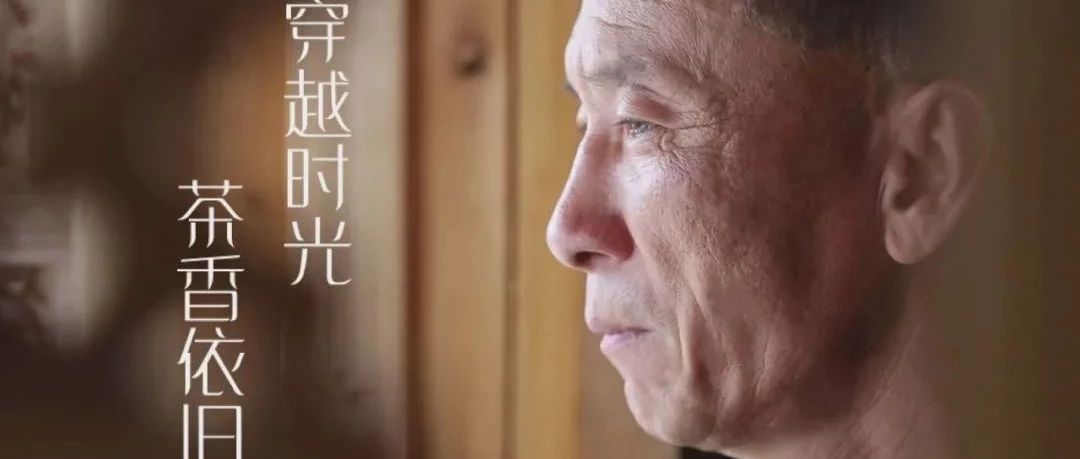【視野】穿越時光，茶香依舊