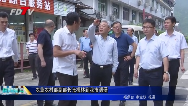 農業農村部副部長張桃林到我市調研
