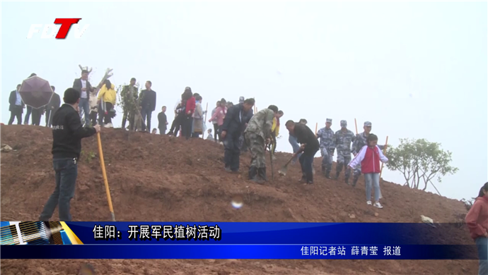 佳陽：開展軍民植樹活動