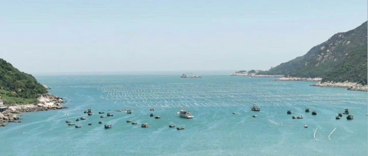寫好 “旅游+”文章，福鼎激活全域山水！