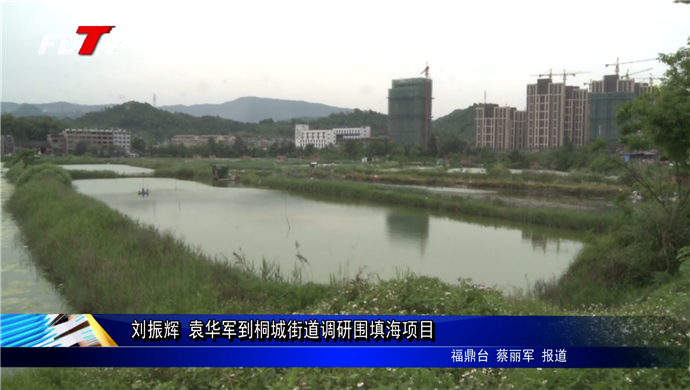 劉振輝 袁華軍到桐城街道調研圍填海項目