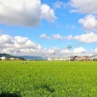 五谷豐登，瓜果飄香，請聽福鼎田園牧歌