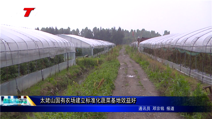 太姥山國有農場建立標準化蔬菜基地效益好