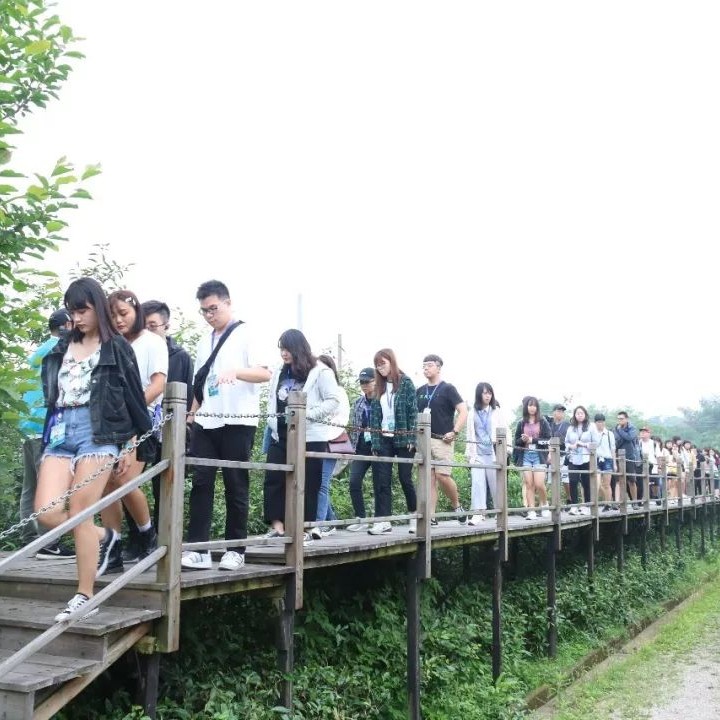臺灣青年走進福鼎共筑海峽“連心橋”