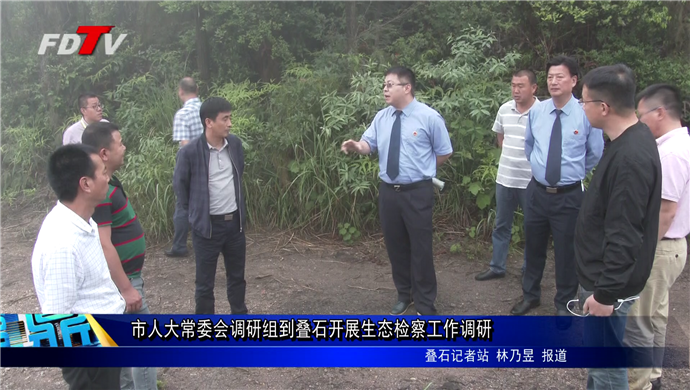 市人大常委會調研組到疊石開展生態檢察工作調研
