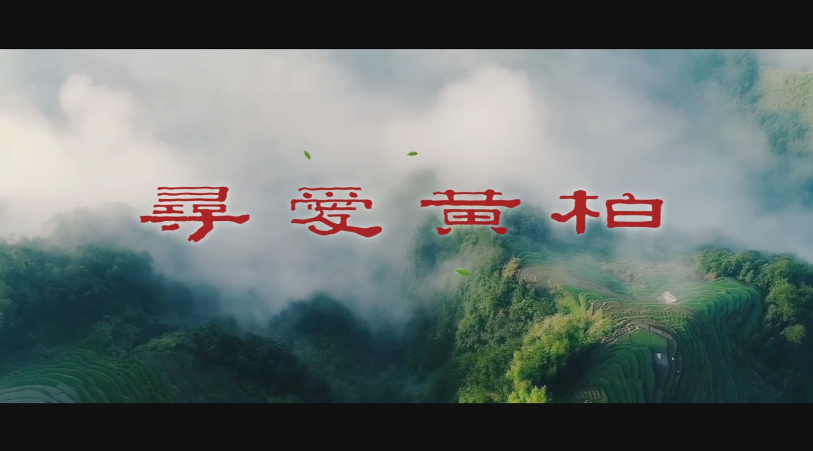 微電影《尋愛黃柏》