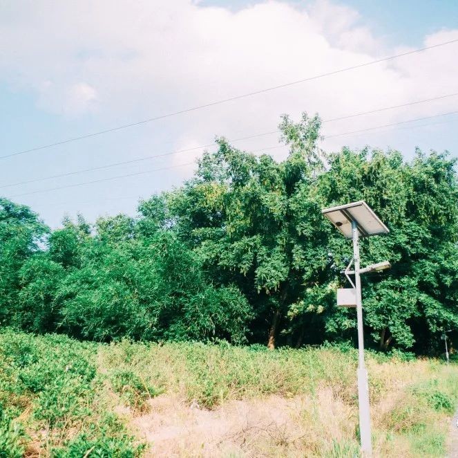 坪上之園，在水之北，推薦你一處離城不遠的小清新風景