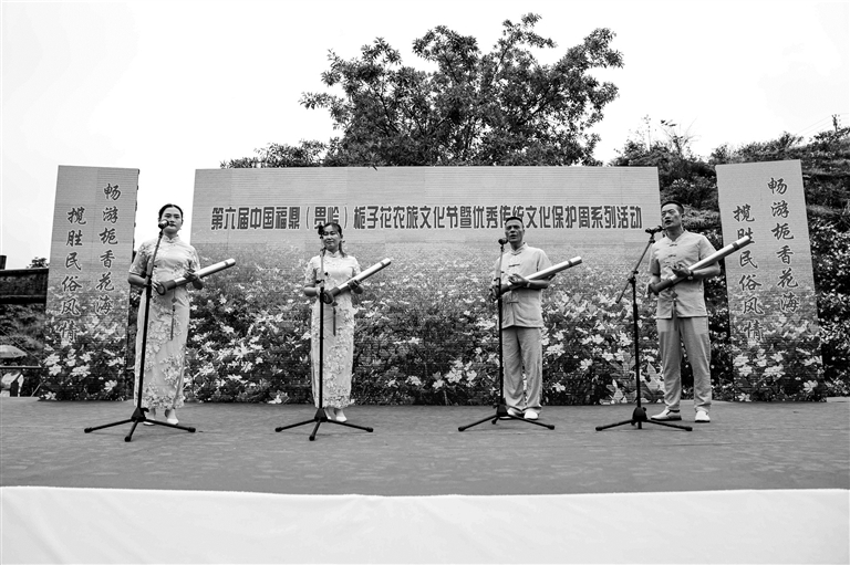 第六屆中國福鼎（貫嶺）梔子花農旅文化節暨優秀傳統文化保護周活動在福鼎開幕