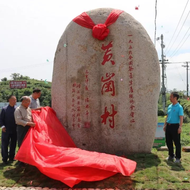 1959~2019，全國茶葉生產現場會在福鼎召開60周年了！