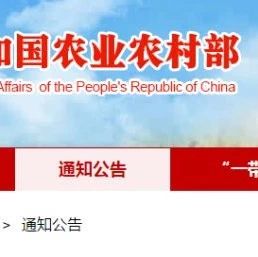 福鼎白茶入圍第二批中國全球重要農業文化遺產預備名單