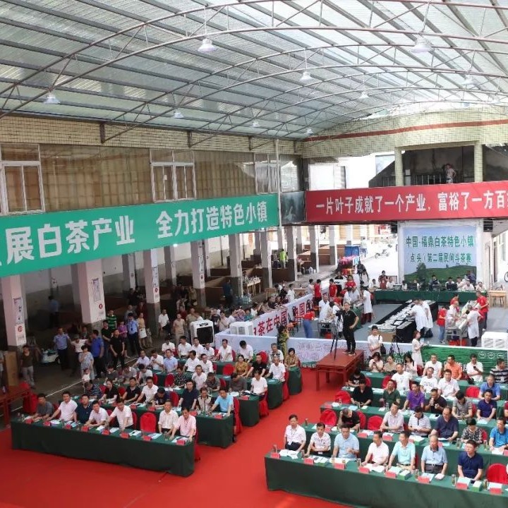 好白茶是“斗”出來的，福鼎點頭舉辦第二屆民間斗茶賽
