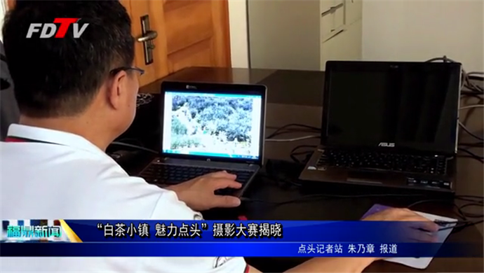 “白茶小鎮 魅力點頭”攝影大賽揭曉