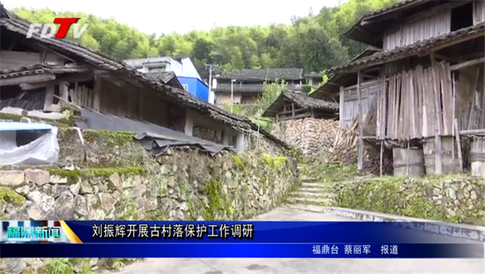 劉振輝開展古村落保護工作調研