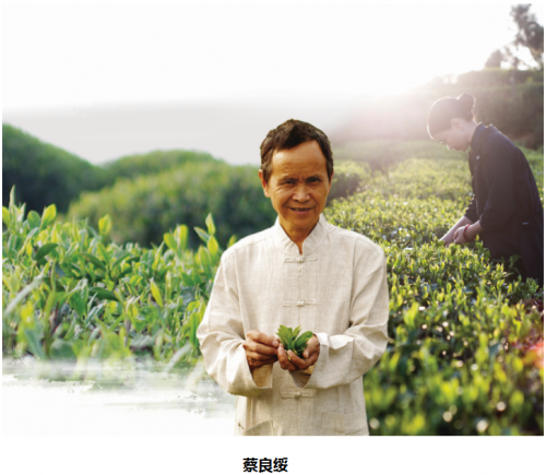 蔡良綏：用福鼎白茶改變家鄉的種茶人