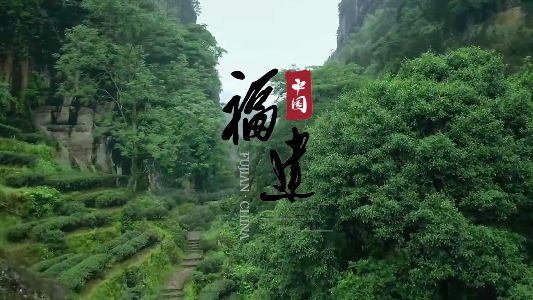福建：擦亮生態底色 成就綠色福地