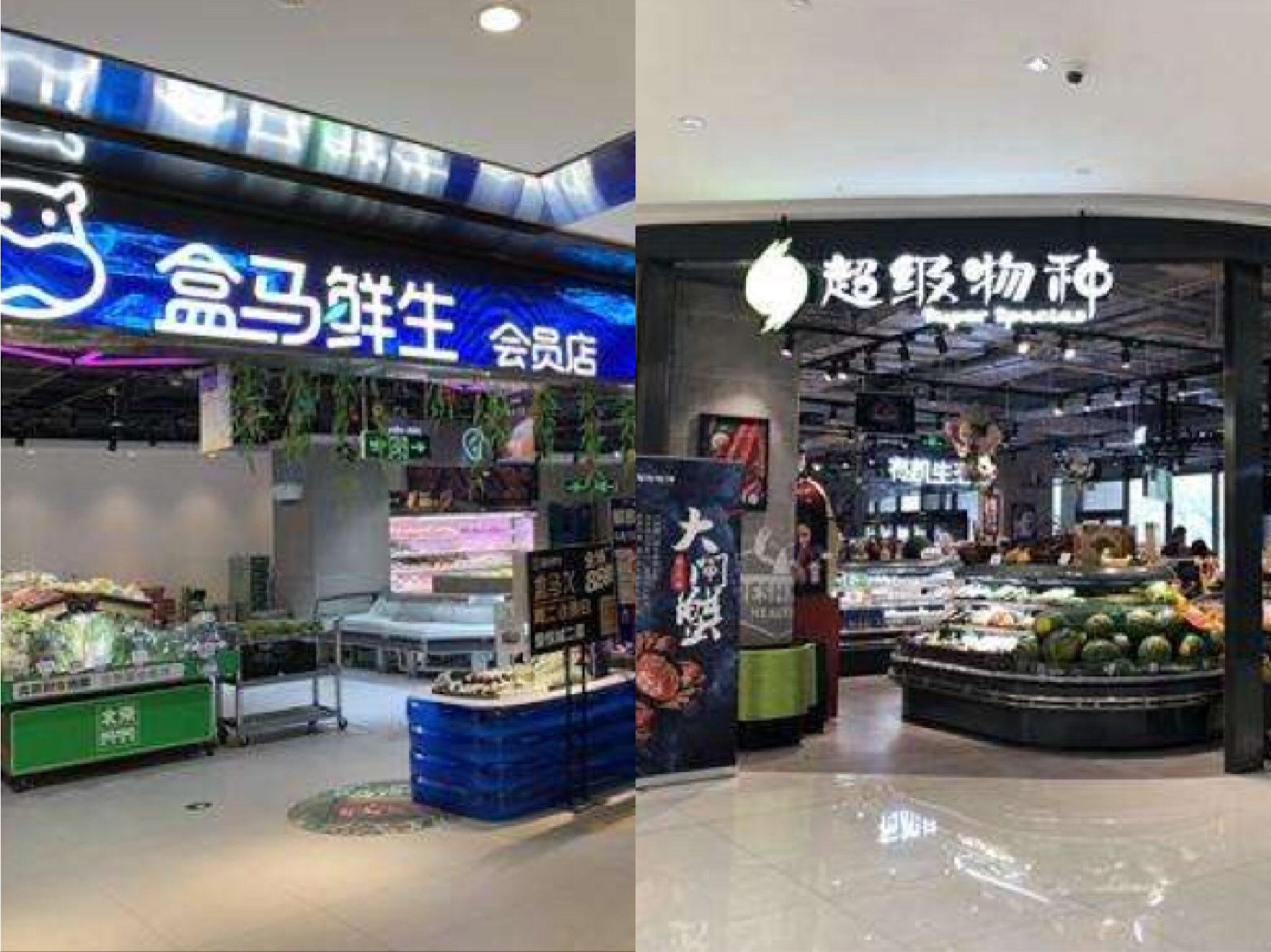 盒馬、七鮮、超級物種探訪：部分商品落灰 都在賺吆喝？