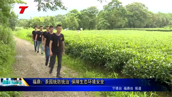 福鼎：茶園統防統治 保障生態環境安全
