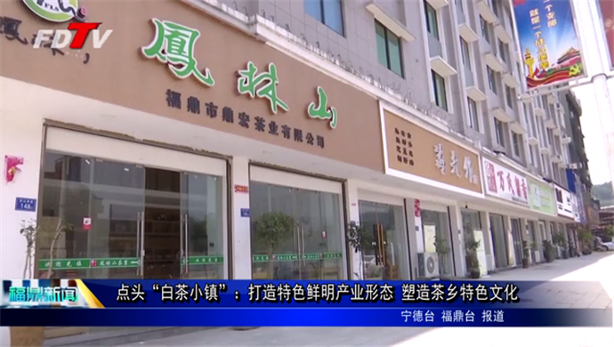 點頭“白茶小鎮”：打造特色鮮明產業形態 塑造茶鄉特色文化