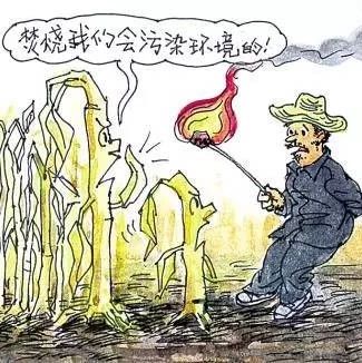 自行焚燒垃圾、秸稈危害這么多……