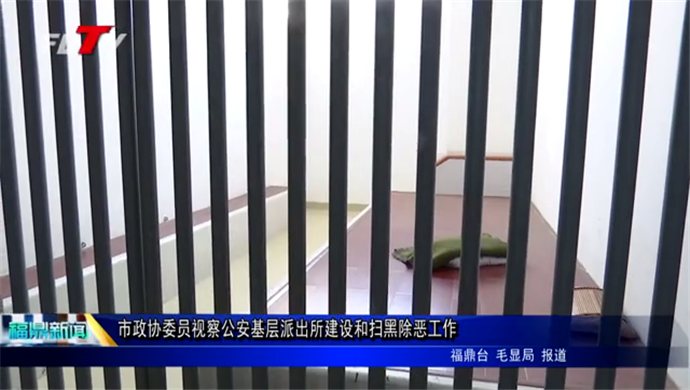 市政協委員視察公安基層派出所建設和掃黑除惡工作