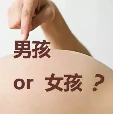 B超鑒定胎兒性別？福鼎準媽媽打了個電話過去，結果……