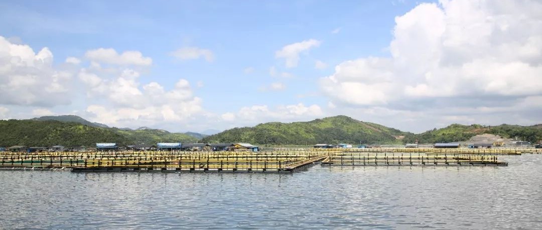 海上養殖變化大不大，跟著書記市長看一看~