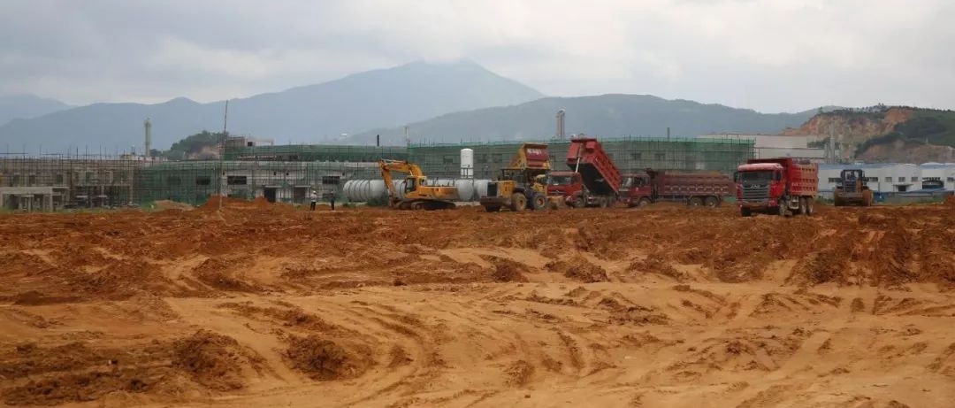 “金娃”落地，怎么培育？看福鼎如何厚植沃土