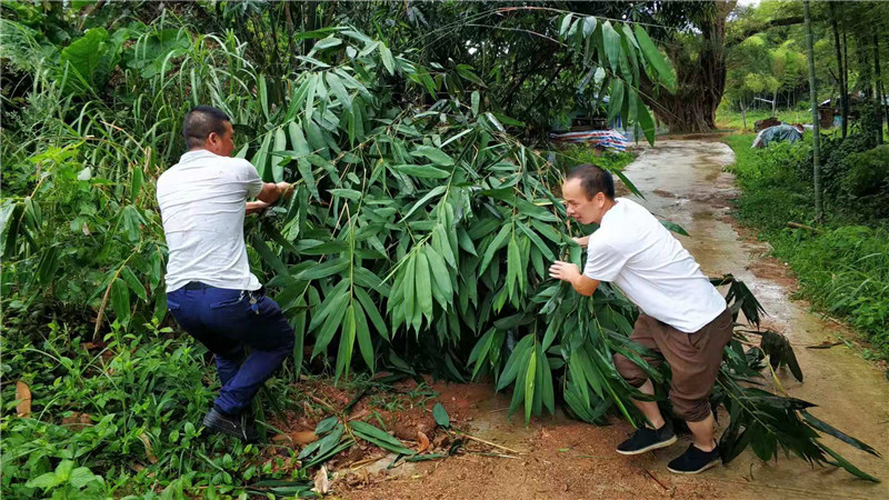 硤門畬族鄉:走村入戶動員危險區域群眾轉移