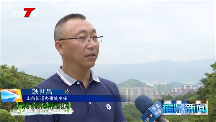 山前:巡查網格化 監管全覆蓋 保護好森林資源