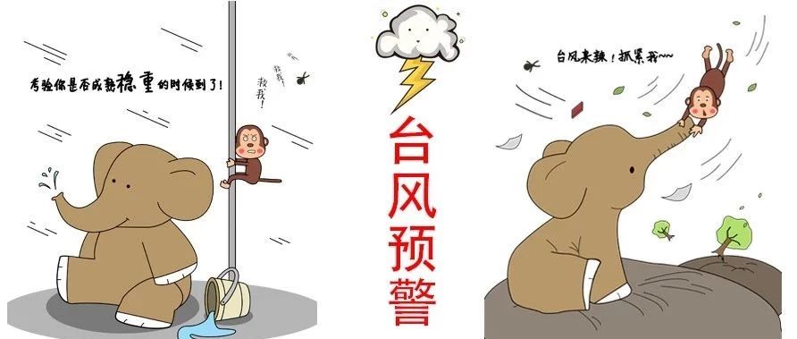 “利奇馬”加強為超強臺風，福鼎提升防臺風應急響應為Ⅲ級！