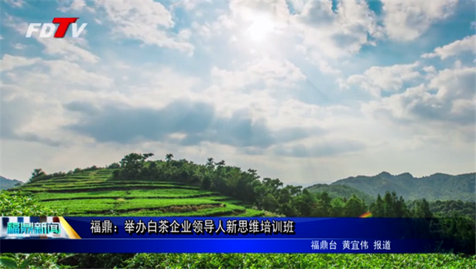 福鼎白茶企業領導人新思維培訓班開班