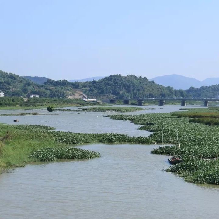 雙岳溪防洪堤預計年底竣工，它可以……