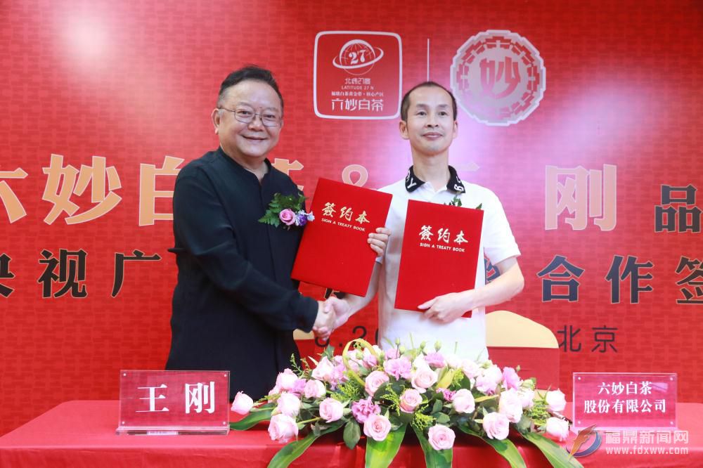 著名藝術家王剛代言六妙白茶 助力福鼎白茶品牌戰略升級