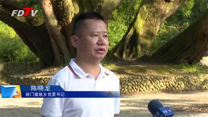 硤門：保持高壓態勢　建立長效機制　保護青山綠水