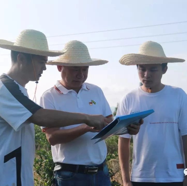硤門：保持高壓態勢，建立長效機制，保護青山綠水